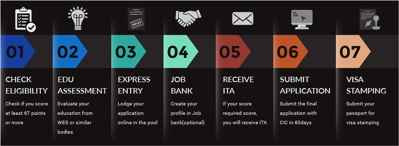 Immigration Processing