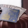 Business Immigration