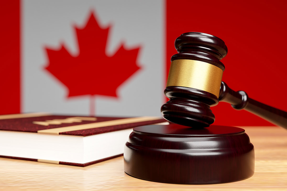 Legal Rights Of Asylum Seekers In Canada